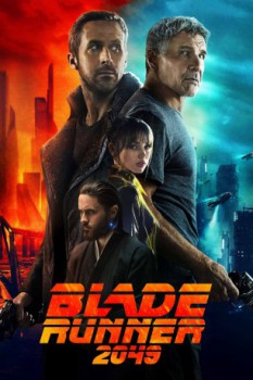poster Blade Runner 2049
          (2017)
        